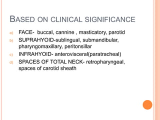 BASED ON CLINICAL SIGNIFICANCE
a) FACE- buccal, cannine , masticatory, parotid
b) SUPRAHYOID-sublingual, submandibular,
pharyngomaxillary, peritonsillar
c) INFRAHYOID- anterovisceral(paratracheal)
d) SPACES OF TOTAL NECK- retropharyngeal,
spaces of carotid sheath
 