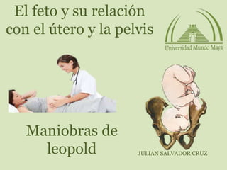 El feto y su relación
con el útero y la pelvis
JULIAN SALVADOR CRUZ
Maniobras de
leopold
 