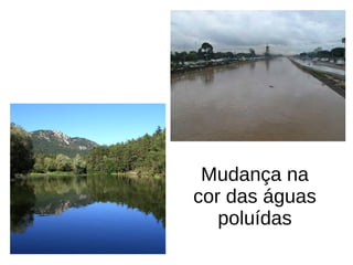 Mudança na
cor das águas
poluídas
 