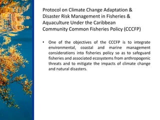Protocol on Climate Change Adaptation &
Disaster Risk Management in Fisheries &
Aquaculture Under the Caribbean
Community ...