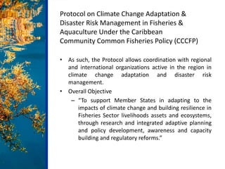 Protocol on Climate Change Adaptation &
Disaster Risk Management in Fisheries &
Aquaculture Under the Caribbean
Community ...