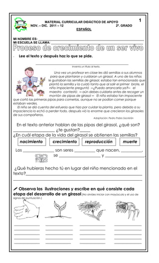 MI NOMBRE ES: _____________________________________________________________
MI ESCUELA SE LLAMA: _____________________________________________________
- Lee el texto y después haz lo que se pide.
___________________________________________________
Inventa un título al texto.
Una vez un profesor en clase les dió semillas a sus alumnos
para que plantaran y cuidaran un girasol. A uno de los niños
le gustaban las semillas de girasol, estaba tan emocionado que
plantó la semilla y la cuidó tanto que al salir el primer brote, el
niño impaciente preguntó ─¿Puedo arrancarla ya?─ el
maestro contestó: ─ aún debes cuidarla antes de recoger un
montón de pipas de girasol ─ El niño estaba tan impaciente
que cortó las primeras pipas para comerlas, aunque no se podían comer porque
estaban verdes.
El niño se dió cuenta del esfuerzo que hizo por cuidar la planta, pero debido a su
impaciencia lo echó a perder todo, después vió lo enorme que crecieron los girasoles
de sus compañeros.
Adaptación: Pedro Pablo Sacristán
En el texto anterior hablan de las pipas del girasol, ¿qué son?
____________________ ¿te gustan?_____
¿En cuál etapa de la vida del girasol se obtienen las semillas?
Los _______________ son seres __________ que nacen, __________,
se ____________________ y ___________________.
¿Qué hubieras hecho tú en lugar del niño mencionado en el
texto?________________________________________________________
______________________________________________________________
 Observa las ilustraciones y escribe en qué consiste cada
etapa del desarrollo de un girasol.(No olvides iniciar con mayúscula y el uso de
signos de puntuación.)
MATERIAL CURRICULAR DIDÁCTICO DE APOYO
NOV. – DIC. 2011 – 12 2º. GRADO
ESPAÑOL
1
nacimiento crecimiento reproducción
16
muerte
______________
______________
______________
______________
______________
___
_______________
_______________
_______________
_______________
______________
______________
______________
______________
______________
______________
___
_______________
_______________
_______________
_______________
_______________
___
 