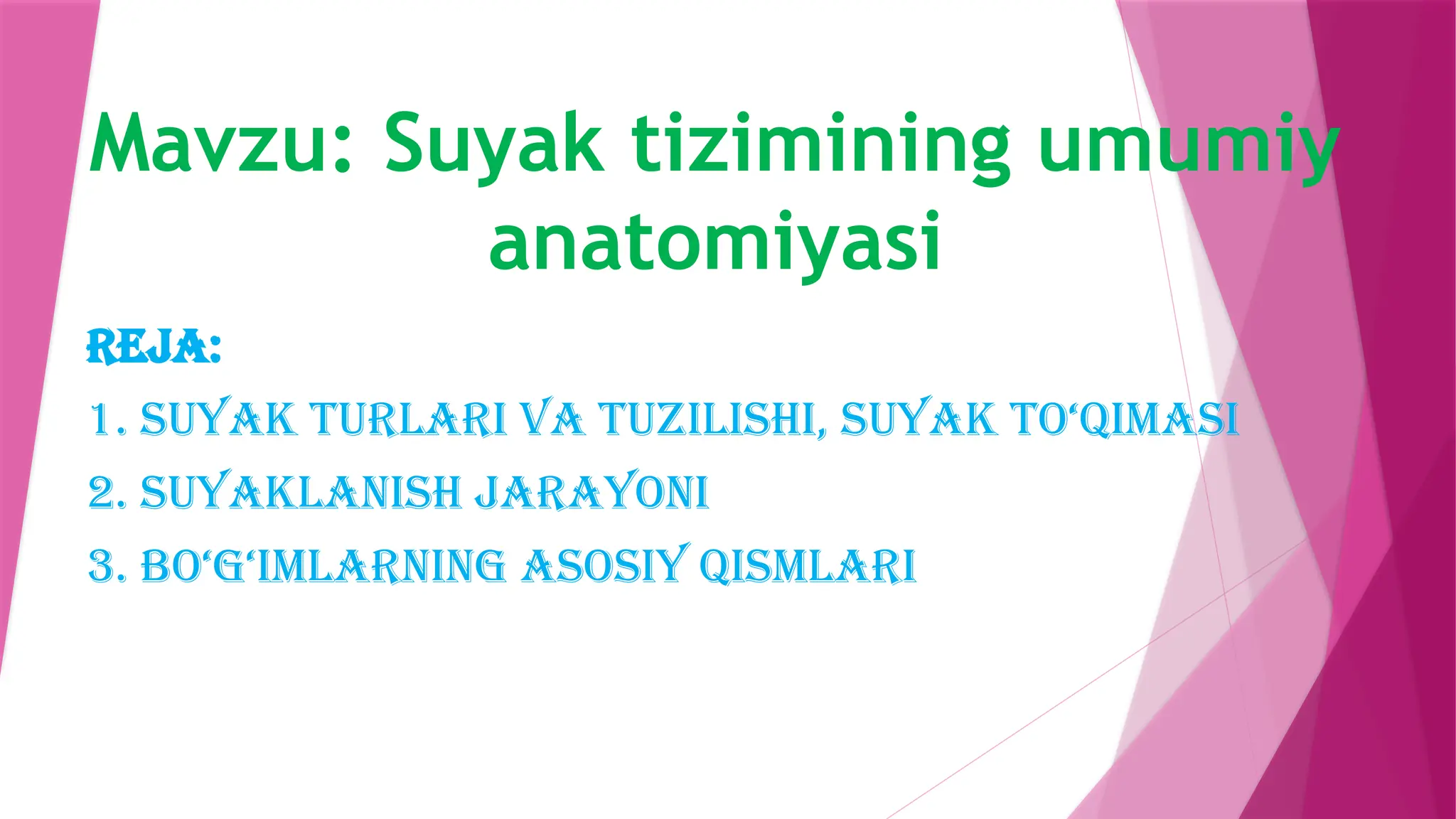 2 MAVZUzsxdfgbhnjmkjnhbgvfcdxszadfghnjmknbv.ppt