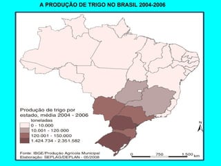 A PRODUÇÃO DE TRIGO NO BRASIL 2004-2006 