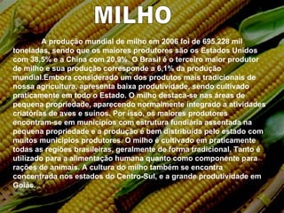 MILHO A produção mundial de milho em 2006 foi de 695.228 mil toneladas, sendo que os maiores produtores são os Estados Unidos com 38,5% e a China com 20,9%. O Brasil é o terceiro maior produtor de milho e sua produção corresponde a 6,1% da produção mundial.Embora considerado um dos produtos mais tradicionais de nossa agricultura, apresenta baixa produtividade, sendo cultivado praticamente em todo o Estado. O milho destaca-se nas áreas de pequena propriedade, aparecendo normalmente integrado a atividades criatórias de aves e suínos. Por isso, os maiores produtores encontram-se em municípios com estrutura fundiária assentada na pequena propriedade e a produção é bem distribuída pelo estado com muitos municípios produtores. O milho é cultivado em praticamente todas as regiões brasileiras, geralmente de forma tradicional. Tanto é utilizado para a alimentação humana quanto como componente para rações de animais. A cultura do milho também se encontra concentrada nos estados do Centro-Sul, e a grande produtividade em Goiás. 