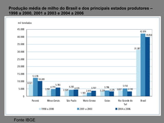 Produção média de milho do Brasil e dos principais estados produtores –  1998 a 2000, 2001 a 2003 e 2004 a 2006 Fonte IBGE 