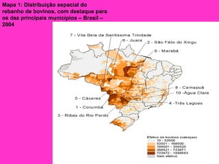 Mapa 1: Distribuição espacial do rebanho de bovinos, com destaque para os dez principais municípios – Brasil – 2004                                                                                             