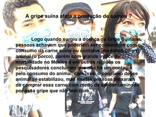 A gripe suína afeta a produção de suínos ? Logo quando surgiu a doença da Gripe Suína as pessoas achavam que poderiam ser contaminas com o consumo da carne suína ou contatos imediatos com o animal (o porco), porém com grande índice de mortalidade no México e em outras regiões os pesquisadores concluíram que não há um contagio pelo consumo do animal, com isso  o consumo desse animal se estabilizou, mas muitas pessoas deixaram de comprar essa carne com medo de ser contaminado por essa gripe que não tem cura.   