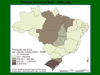 Produção de arroz no Brasil – 2004 a 2006 