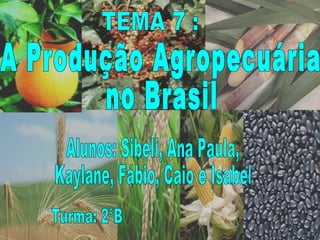 A Produção Agropecuária no Brasil Alunos: Sibeli, Ana Paula,  Kaylane, Fábio, Caio e Isabel Turma: 2°B TEMA 7 : 