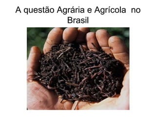 A questão Agrária e Agrícola  no Brasil 