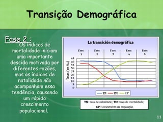 Transição Demográfica Fase 2 : TN : taxa de natalidade;  TM : taxa de mortalidade; CP : Crescimento da População Os índices de mortalidade iniciam uma importante descida motivada por diferentes razões, mas os índices de natalidade não acompanham essa tendência, causando um rápido crescimento populacional.   11 