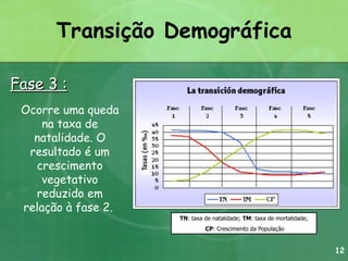 Transição Demográfica Fase 3 : TN : taxa de natalidade;  TM : taxa de mortalidade; CP : Crescimento da População Ocorre uma queda na taxa de natalidade. O resultado é um crescimento vegetativo reduzido em relação à fase 2.  12 