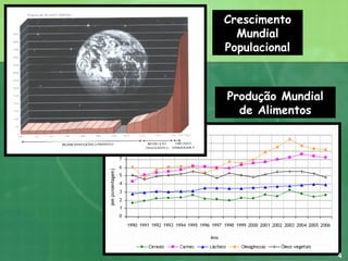 Produção Mundial de Alimentos Crescimento Mundial Populacional 4 