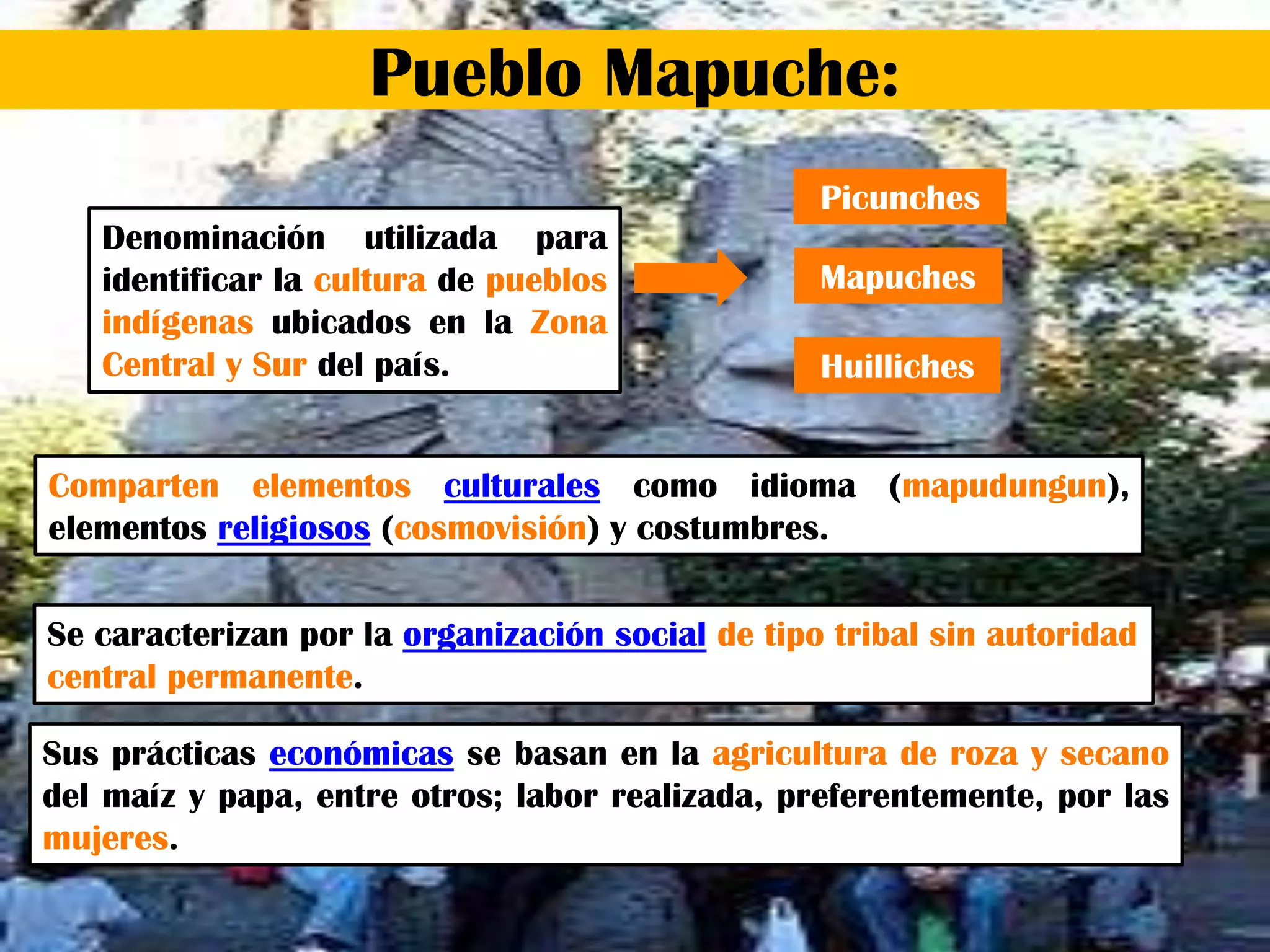 Pueblo Mapuche:
Denominación utilizada para
identificar la cultura de pueblos
indígenas ubicados en la Zona
Central y Sur del país.
Comparten elementos culturales como idioma (mapudungun),
elementos religiosos (cosmovisión) y costumbres.
Se caracterizan por la organización social de tipo tribal sin autoridad
central permanente.
Sus prácticas económicas se basan en la agricultura de roza y secano
del maíz y papa, entre otros; labor realizada, preferentemente, por las
mujeres.
Picunches
Mapuches
Huilliches
 