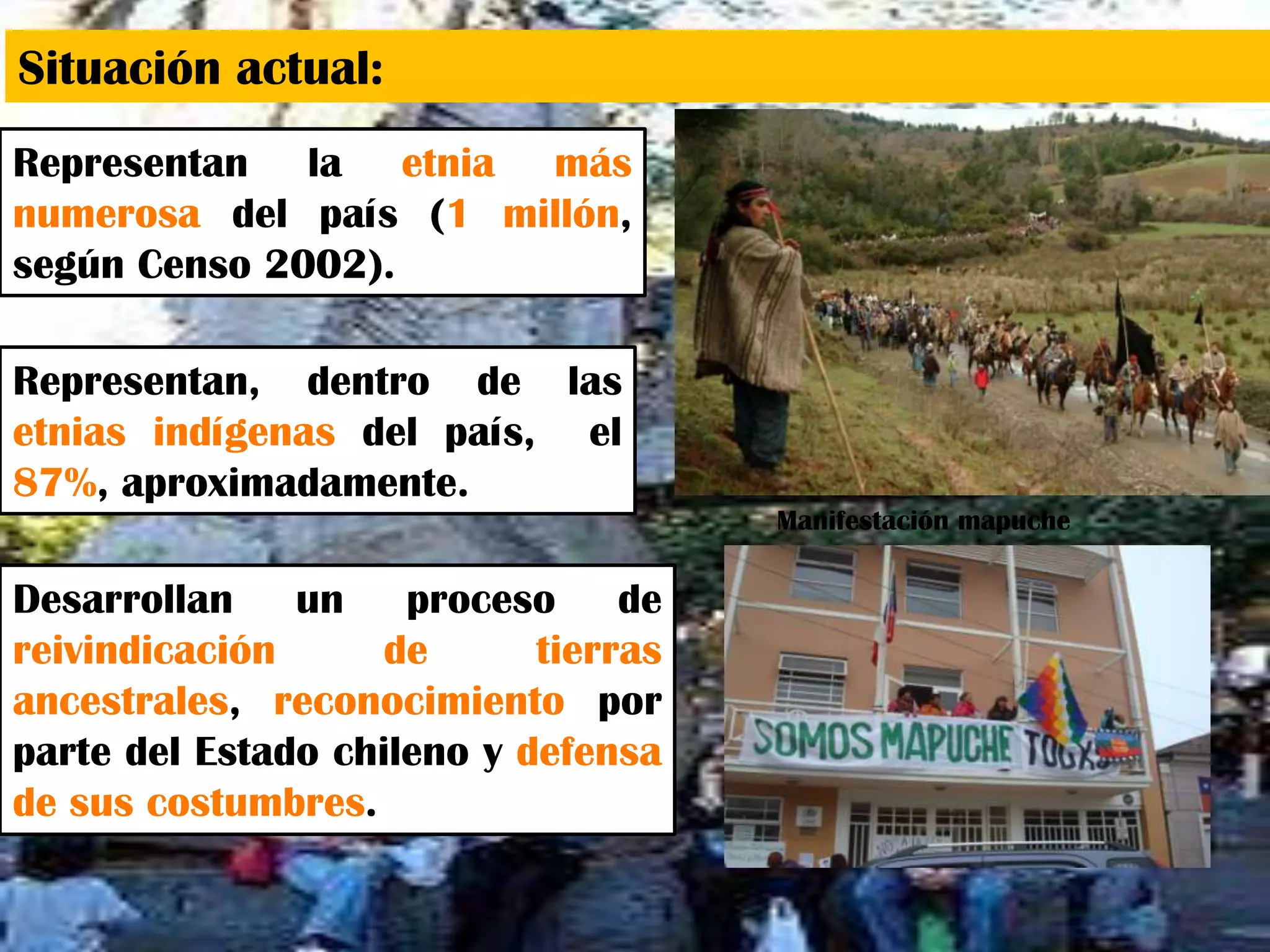 Situación actual:
Representan la etnia más
numerosa del país (1 millón,
según Censo 2002).
Representan, dentro de las
etnias indígenas del país, el
87%, aproximadamente.
Desarrollan un proceso de
reivindicación de tierras
ancestrales, reconocimiento por
parte del Estado chileno y defensa
de sus costumbres.
Manifestación mapuche
 