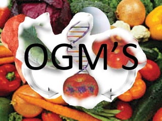 OGM’S 
