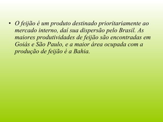 O feijão é um produto destinado prioritariamente ao mercado interno, daí sua dispersão pelo Brasil. As maiores produtividades de feijão são encontradas em Goiás e São Paulo, e a maior área ocupada com a produção de feijão é a Bahia. 
