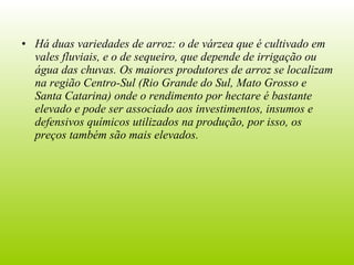 Há duas variedades de arroz: o de várzea que é cultivado em vales fluviais, e o de sequeiro, que depende de irrigação ou água das chuvas. Os maiores produtores de arroz se localizam na região Centro-Sul (Rio Grande do Sul, Mato Grosso e Santa Catarina) onde o rendimento por hectare é bastante elevado e pode ser associado aos investimentos, insumos e defensivos químicos utilizados na produção, por isso, os preços também são mais elevados. 