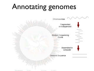 Annotating genomes
 