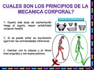 4. Cuanta más base de sustentación
tenga el sujeto, mayor estabilidad
corporal tendrá.
5. Si se puede estar en movimiento
ejercitar las extremidades inferiores.
6. Caminar con la cabeza y el tórax
bien erguidos y con buena postura.
BASE DE SUSTENTACIÓN
 