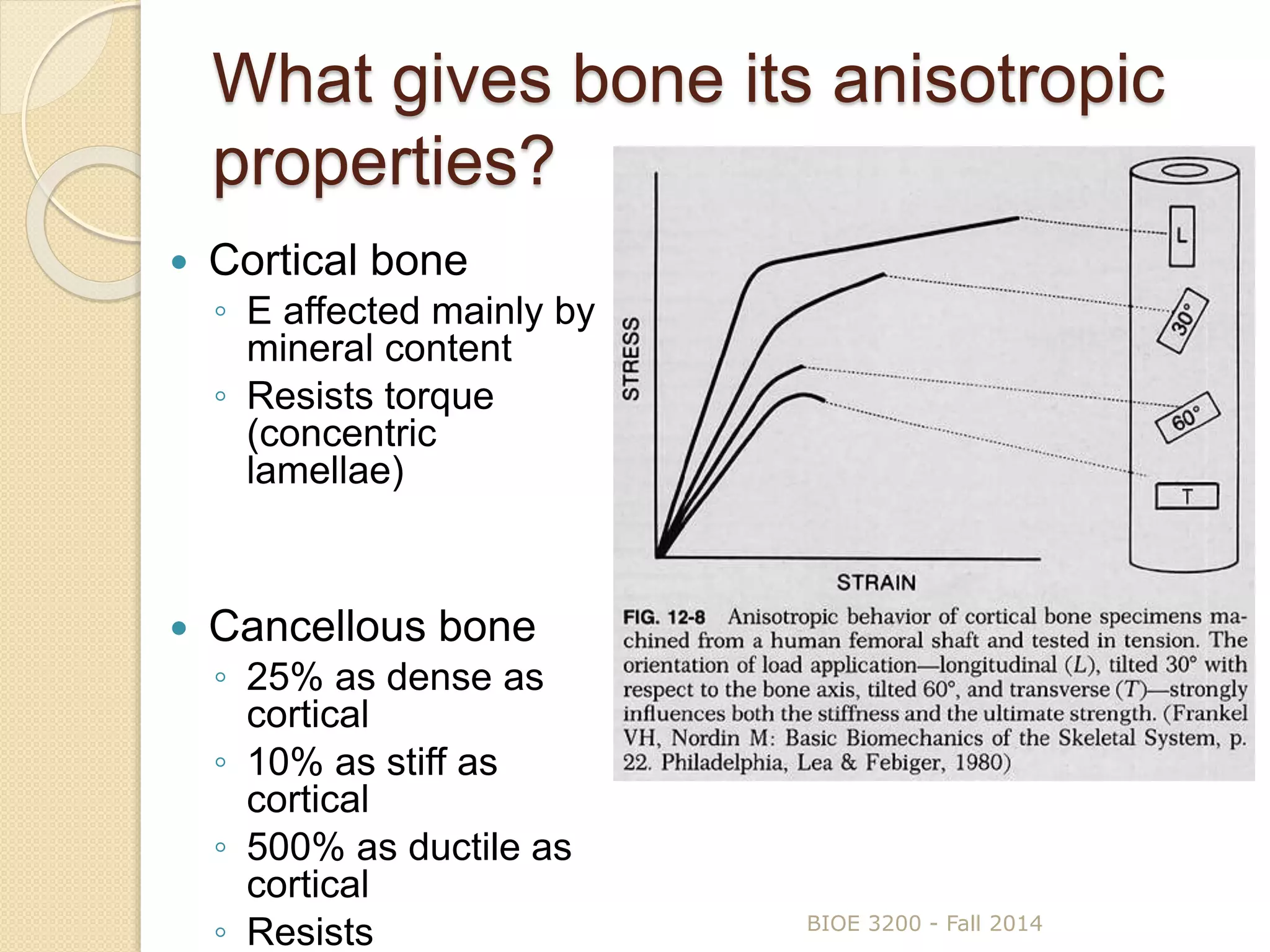 What gives bone its anisotropic
properties?
 Cortical bone
◦ E affected mainly by
mineral content
◦ Resists torque
(concentric
lamellae)
 Cancellous bone
◦ 25% as dense as
cortical
◦ 10% as stiff as
cortical
◦ 500% as ductile as
cortical
◦ Resists BIOE 3200 - Fall 2014
 