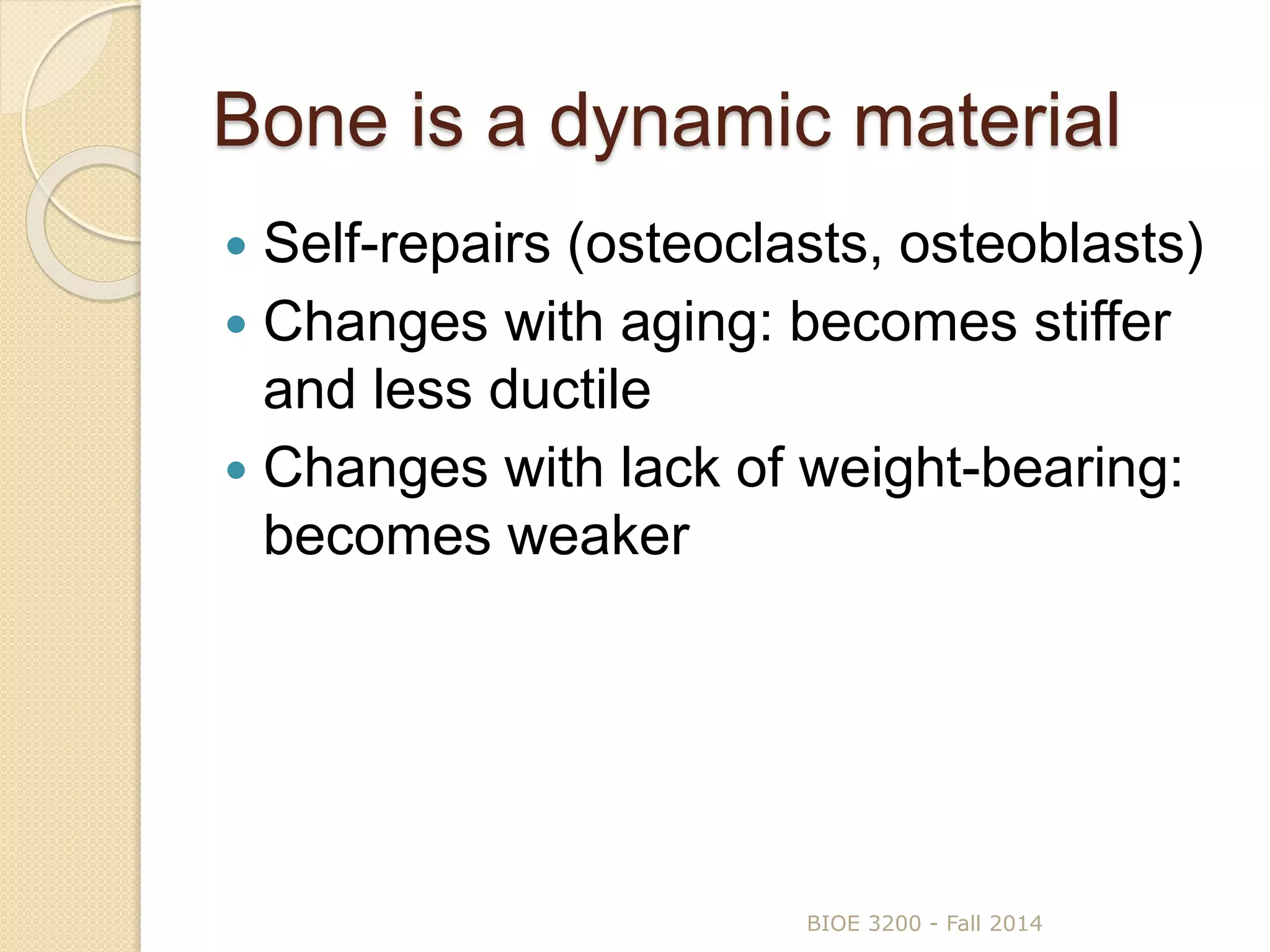 Bone is a dynamic material
 Self-repairs (osteoclasts, osteoblasts)
 Changes with aging: becomes stiffer
and less ductile
 Changes with lack of weight-bearing:
becomes weaker
BIOE 3200 - Fall 2014
 