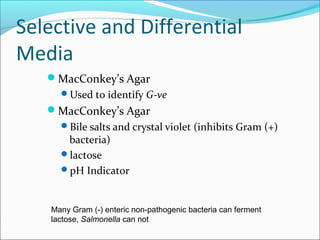 Selective and Differential 
Media 
MacConkey’s Agar 
Used to identify G-ve 
MacConkey’s Agar 
Bile salts and crystal violet (inhibits Gram (+) 
bacteria) 
lactose 
pH Indicator 
Many Gram (-) enteric non-pathogenic bacteria can ferment 
lactose, Salmonella can not 
 