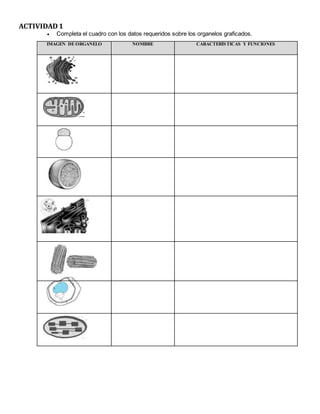ACTIVIDAD1
 Completa el cuadro con los datos requeridos sobre los organelos graficados.
IMAGEN DE ORGANELO NOMBRE CARACTERÍSTICAS Y FUNCIONES
 
