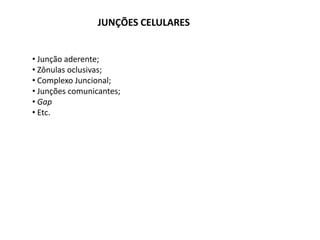 JUNÇÕES CELULARES


• Junção aderente;
• Zônulas oclusivas;
• Complexo Juncional;
• Junções comunicantes;
• Gap
• Etc.
 