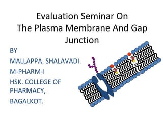 Evaluation Seminar On
The Plasma Membrane And Gap
Junction
BY
MALLAPPA. SHALAVADI.
M-PHARM-I
HSK. COLLEGE OF
PHARMACY,
BAGALKOT.
 