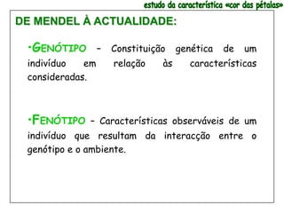 DE MENDEL À ACTUALIDADE:

 •GENÓTIPO        –   Constituição    genética   de   um
 indivíduo   em       relação    às      características
 consideradas.



 •FENÓTIPO   – Características observáveis de um
 indivíduo que resultam da interacção entre o
 genótipo e o ambiente.
 