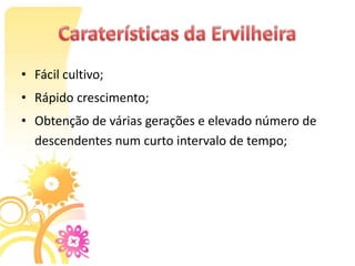 • Fácil cultivo;
• Rápido crescimento;
• Obtenção de várias gerações e elevado número de
  descendentes num curto intervalo de tempo;
 