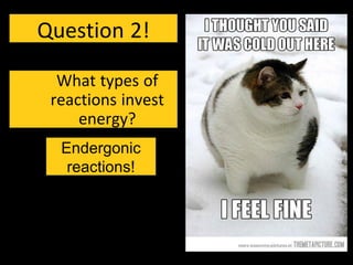 Question 2!
What types of
reactions invest
energy?
Endergonic
reactions!
 
