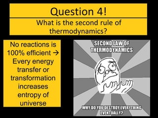 Question 4!
What is the second rule of
thermodynamics?
No reactions is
100% efficient 
Every energy
transfer or
transformation
increases
entropy of
universe
 