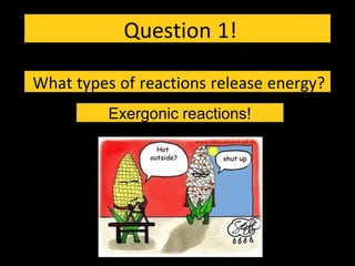 Question 1!
What types of reactions release energy?
Exergonic reactions!
 