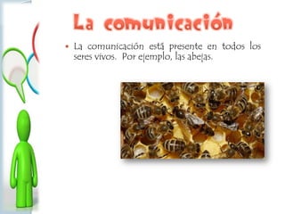  La comunicación está presente en todos los
seres vivos. Por ejemplo, las abejas.
 