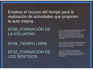 2 mfi dimensiones capacidades