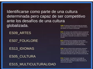 2 mfi dimensiones capacidades