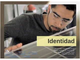 2 mfi dimensiones capacidades