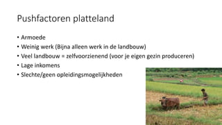 Pushfactoren platteland
• Armoede
• Weinig werk (Bijna alleen werk in de landbouw)
• Veel landbouw = zelfvoorzienend (voor je eigen gezin produceren)
• Lage inkomens
• Slechte/geen opleidingsmogelijkheden
 