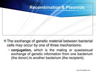 (2) microbial genetics | PPT