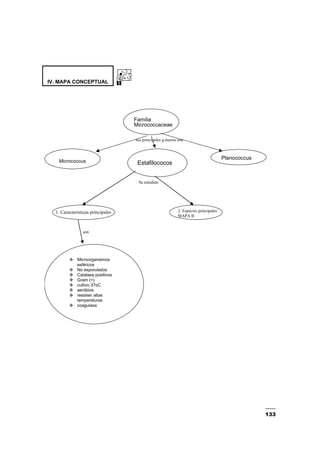 133
IV. MAPA CONCEPTUAL
Familia
Micrococcaceae
Estafilococos
sus principales g éneros son
Se estudian
son
Micrococcus
Planococcus
Microorganismos
esféricos
No esporulados
Catalasa positivos
Gram (+)
cultivo 37oC
aeróbios
resisten altas
temperaturas
coagulasa
1. Características principales 2. Especies principales
MAPA B
 