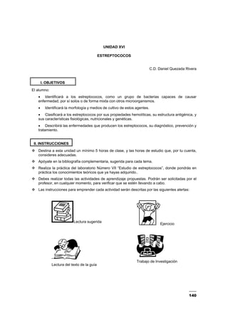 140
UNIDAD XVI
ESTREPTOCOCOS
C.D. Daniel Quezada Rivera
I. OBJETIVOS
El alumno:
• Identificará a los estreptococos, como un grupo de bacterias capaces de causar
enfermedad, por sí solos o de forma mixta con otros microorganismos.
• Identificará la morfología y medios de cultivo de estos agentes.
• Clasificará a los estreptococos por sus propiedades hemolíticas, su estructura antigénica, y
sus características fisiológicas, nutricionales y genéticas.
• Describirá las enfermedades que producen los estreptococos, su diagnóstico, prevención y
tratamiento.
II. INSTRUCCIONES
Destina a esta unidad un mínimo 5 horas de clase, y las horas de estudio que, por tu cuenta,
consideres adecuadas.
Apóyate en la bibliografía complementaria, sugerida para cada tema.
Realiza la práctica del laboratorio Número VII “Estudio de estreptococos”, donde pondrás en
práctica los conocimientos teóricos que ya hayas adquirido..
Debes realizar todas las actividades de aprendizaje propuestas. Podrán ser solicitadas por el
profesor, en cualquier momento, para verificar que se estén llevando a cabo.
Las instrucciones para emprender cada actividad serán descritas por las siguientes alertas:
Lectura sugerida
–
Lectura del texto de la guía
Ejercicio
Trabajo de Investigación
 