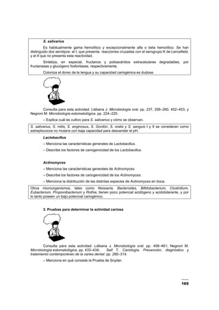 165
S. salivarius
Es habitualmente gama hemolítico y excepcionalmente alfa o beta hemolítico. Se han
distinguido dos serotipos: el I, que presenta reacciones cruzadas con el serogrupo K de Lancefield,
y el II que no presenta esta reactividad.
Sintetiza, en especial, fructanos y polisacáridos extracelulares degradables, por
fructanasas y glucógeno fosforilasas, respectivamente.
Coloniza el dorso de la lengua y su capacidad cariogénica es dudosa.
Consulta para esta actividad: Liébana J. Microbiología oral. pp. 237, 256–260, 452–453, y
Negroni M. Microbiología estomatológica. pp. 224–225.
– Explica cuál es cultivo para S. salivarius y cómo se observan.
S. salivarius, S. mitis, S. anginosus, S. Gordón, S. oralis y S. sanguis I y II se consideran como
estreptococos no mutans con baja capacidad para descender el pH.
Lactobacillus
– Menciona las características generales de Lactobacillus.
– Describe los factores de cariogenicidad de los Lactobacillus.
Actinomyces
– Menciona las características generales de Actinomyces
– Describe los factores de cariogenicidad de los Actinomyces.
– Menciona la distribución de las distintas especies de Actinomyces en boca.
Otros microorganismos, tales como Neisseria, Bacteroides, Bifidobacterium, Clostridium,
Eubacterium, Propionibacterium y Rothia, tienen poco potencial acidógeno y acidotolerante, y por
lo tanto poseen un bajo potencial cariogénico.
3. Pruebas para determinar la actividad cariosa
Consulta para esta actividad: Liébana J. Microbiología oral. pp. 458–461; Negroni M.
Microbiología estomatológica. pp. 433–434; Seif T. Cariología. Prevención, diagnóstico y
tratamiento contemporáneo de la caries dental. pp. 280–314.
– Menciona en qué consiste la Prueba de Snyder.
 
