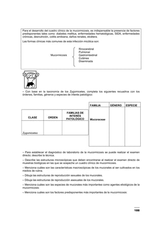 188
Para el desarrollo del cuadro clínico de la mucormicosis, es indispensable la presencia de factores
predisponentes tales como: diabetes mellitus, enfermedades hematológicas, SIDA, enfermedades
crónicas, desnutrición, colitis amibiana, daños renales, etcétera.
Las formas clínicas más comunes de esta infección micótica son:
Rinocerebral
Pulmonar
Mucormicosis Gastrointestinal
Cutánea
Diseminada
– Con base en la taxonomía de los Zygomicetes, completa los siguientes recuadros con los
órdenes, familias, géneros y especies de interés patológico:
– Para establecer el diagnóstico de laboratorio de la mucormicosis se puede realizar el examen
directo; describe la técnica.
– Describe las estructuras microscópicas que deben encontrarse al realizar el examen directo de
muestras biológicas en las que se sospeche un cuadro clínico de mucormicosis.
– Menciona cuáles son las características macroscópicas de los mucorales al ser cultivados en los
medios de rutina.
– Dibuja las estructuras de reproducción sexuales de los mucorales.
– Dibuja las estructuras de reproducción asexuales de los mucorales.
– Menciona cuáles son las especies de mucorales más importantes como agentes etiológicos de la
mucormicosis:
– Menciona cuáles son los factores predisponentes más importantes de la mucormicosis:
CLASE ORDEN
FAMILIAS DE
INTERÉS
PATOLÓGICO
Zygomicetes
FAMILIA GÉNERO ESPECIE
Mucoraceae
 