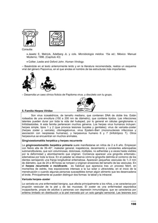 198
Consulta:
• Jawetz E, Melnick, Adelberg JL y cols. Microbiología médica. 15a ed.; México: Manual
Moderno; 1996. (Capítulo 43)
• Collier, Leslie and Oxford John. Human Virology.
– Basándote en el texto anteriormente leído y en la literatura recomendada, realiza un esquema
viral del género Papovirus, en el que anotes el nombre de las estructuras más importantes.
– Desarrolla un caso clínico ficticio de Papiloma virus, y discútelo con tu grupo.
5. Familia Herpes Viridae
Son virus icosaédricos, de tamaño mediano, que contienen DNA de doble tira. Están
rodeados de una envoltura (150 a 200 nm de diámetro), que contiene lípidos. Las infecciones
latentes pueden durar por toda la vida del huésped, por lo general en células ganglionares o
linfoblastoides. A esta familia pertenecen muchos géneros. Los herpes virus humanos incluyen:
herpes simple, tipos 1 y 2 (que provoca lesiones bucales y genitales); virus de varicela–zoster
(herpes zoster y varicela), citomegalovirus, virus Epstein–Barr (mononucleosis infecciosa y
asociación con neoplasias humanas), y herpesvirus humano 6 y 7 (linfotrópico T). Otros
herpesvirus se encuentran en muchos animales.
Gingivoestomatitis herpética y herpes recurrente
La gingivoestomatitis herpética primaria suele manifestarse en niños de 2 a 6 año. Empiezan
con fiebre alta de 39–40°, malestar general, inapetencia, decaimiento y constantes adenopatías
submandibulares, que son voluminosas, dolorosas, múltiples, no adheridas y a veces hasta visibles
por la deformidad y abombamiento que originan. Comienza aparecer una gingivitis eritomato–
edematosa por toda la boca. En el paladar se observa cómo la gingivitis delimita el contorno de los
dientes semejando una franja longitudinal eritematosa. Aparecen pequeñas vesículas de 1–3 mm
de diámetro, que de 24 a 48 horas se rompen y originan erosiones del tamaño de las vesículas. En
el herpes recurrente o recidivante, es habitual que aparezca tras un proceso febril, en
momentos de estrés, tras exposiciones intensas a la luz solar o ultravioleta, en el inicio de la
menstruación o cuando algunas personas susceptibles toman algún alimento que les desencadena
el brote. Principalmente se pueden distinguir dos formas: la labial y la intraoral.
Varicela herpes–zoster
La varicela es una enfermedad benigna, que afecta principalmente a los niños, y se caracteriza por
erupción vesicular de la piel y de las mucosas. El zoster es una enfermedad esporádica
incapacitante, propia de adultos o personas con depresión inmunológica, que se caracteriza por
eritema limitado en distribución a la piel inervada por un solo ganglio sensorial. Las lesiones son
 