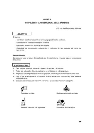 24
UNIDAD III
MORFOLOGÍA Y ULTRAESTRUCTURA DE LAS BACTERIAS
C.D. Lila Areli Domínguez Sandoval
I. OBJETIVOS
El alumno:
• Identificará las diferencias entre la forma y agrupación de las bacterias.
• Establecerá las características de las bacterias.
• Identificará la estructura propia de una bacteria.
• Describirá los componentes estructurales y químicos de las bacterias así como su
importancia.
Requerimientos
Es necesario hacer la lectura del capítulo 2, del libro de Liébana, y repasar algunos conceptos de
bioquímica.
II. INSTRUCCIONES
Para resolver esta guía utilizarás 5 horas: 4 de teoría y 1 de práctica.
Todas las actividades deberán elaborarse en tu Bitácora de esta asignatura.
Integra con tus compañeros de clase equipos de 6 personas para realizar la evaluación final.
Todo lo que se encuentra en un recuadro de texto es de suma importancia y debe revisarse
cuidadosamente.
Estos son los iconos que te indican lo relevante y lo que debes hacer en cada parte.
Exposición en clase Realiza una discusión en clase
Resuelve tus dudas con el profesor Lectura del texto de la guía
 