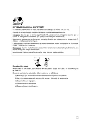 44
REPRODUCCION ASEXUAL O IMPERFECTA
Se presenta un sinnúmero de veces, no como la sexuada que se realiza sólo una vez.
Consiste en la reproducción mediante talosporas, conidias y esporangiosporas.
Talosporas: Esporas que se forman a partir de la hifa y se dividen en artrosporas (esporas que se
forman de la fragmentación de hifas, por ejemplo la Monilia y los dermatofitos).
Blastosporas: esporas que se forman por gemación. Pueden ser únicas como en el caso de la C.
Albicans o múltiples como Torulopsis.
Clamidosporas: Esporas que se forman del engrosamiento del micelio. Son propias de los hongos,
mohos y especies de C. Albicans.
Dictiosporas: Esporas multicelulares que se dividen tanto transversal como longitudinalmente, son
propias de algunos hongos dematiáceos.
Aleuriosporas: Esporas que se forman de las hifas; ejemplo: los dermatofitos.
Reproducción sexual
Para realizar las actividades, consulta en el libro de Liébana las pp. 363–366 y en el de Murray las
pp. 299–300.
Recuerda que todas tus actividades deben registrarse en la Bitácora.
a) Analiza por qué la reproducción sexual se denomina reproducción perfecta.
b) Menciona las ventajas de la reproducción sexual a diferencia de la asexuada.
c) Esquematiza una cigospora.
d) Esquematiza una ascospora
e) Esquematiza una basidiospora.
 