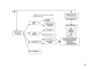 67
MAPA
B
TAMBIÉN PUEDES EJERCER EL CONTROL
DE INFECCIÓN CON :
PUEDES VERIFICAR LA
ESTERILIZACIÓN CON:
MÉTODOS
FÍSICOS
CALOR
SECO
FLAMA
DIRECTA
HORNO DE AIRE
CALIENTE
CALOR
HÚMEDO
AUTOCLAVE
TINDALIZACIÓN
RADIACIONES
RADIACIONES UV
RADIACIONES
GAMA
ULTRASONIDOS
CONTROLES DE
ESTERILIZACIÓN
MÉTODOS FÍSICOS
MÉTODOS
QUÍMICOS
MÉTODOS
BIOLÓGICOS
AGENTES QUE ACTÚAN POR
ALTERACIÓN DE ÁCIDOS
NUCLEICOS:
• RADIACIONES UV
• RADIACIONES GAMA
 
